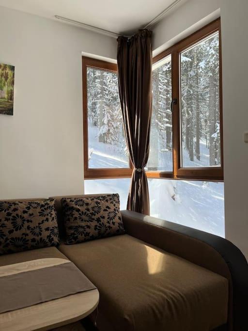 Apartmán Forest Place Pamporovo Exteriér fotografie