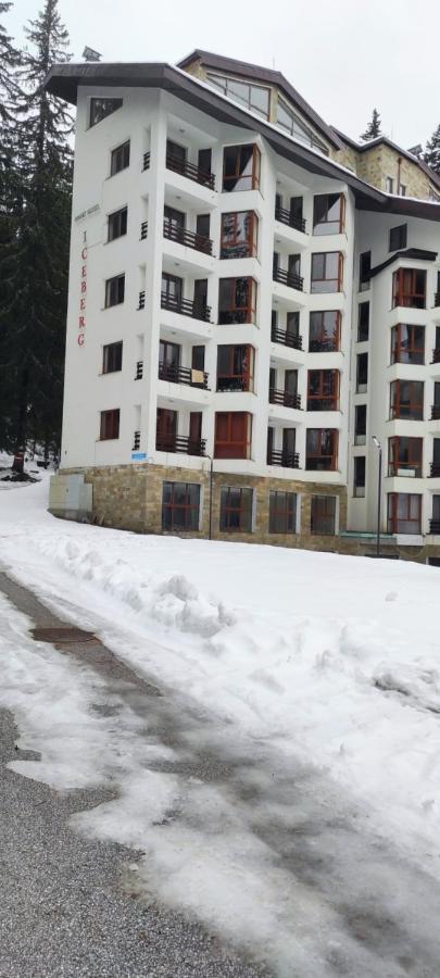 Apartmán Forest Place Pamporovo Exteriér fotografie